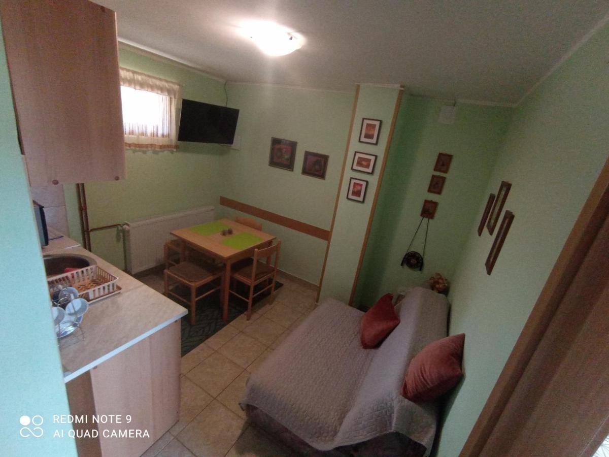 Vila Bliznakinja B Ζλάτιμπορ Εξωτερικό φωτογραφία